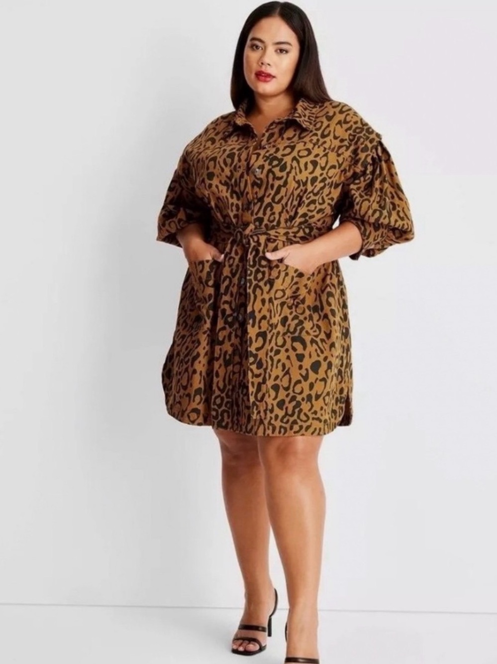 Leopard Print Tie-Waist Mini Shirt Dress - Brown/Black